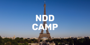 it.com Domains at NDDCamp in Paris