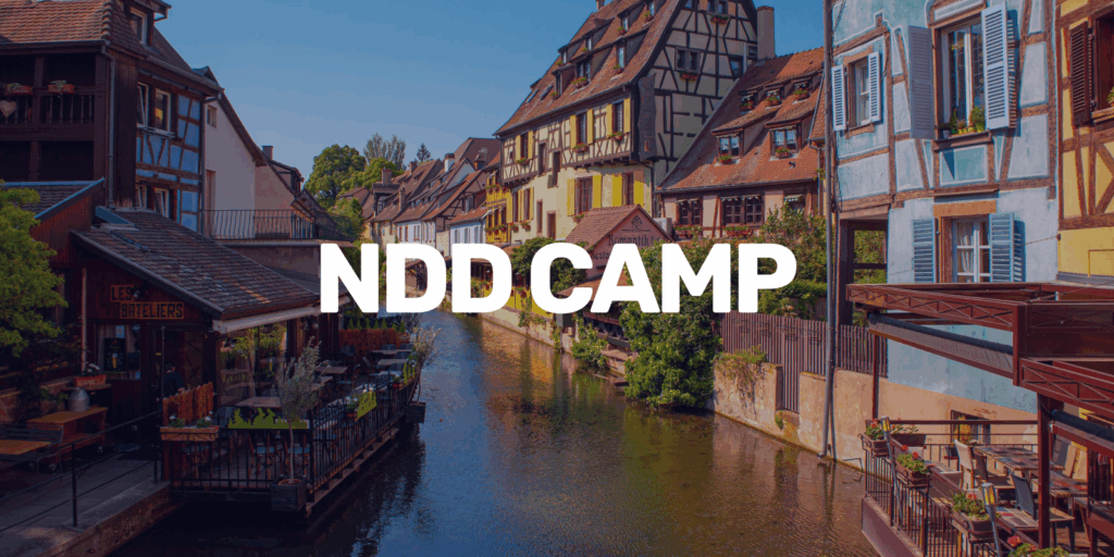 it.com Domains at NDDCamp in Strasbourg
